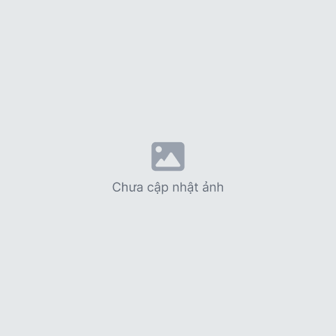 Áo thun giấy nữ chun eo